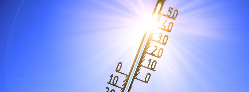 ACtu du 13 ao&ucirc;t 2021 - Canicule et produits de sant&eacute;
