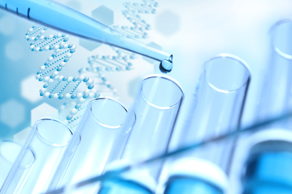 Actu 21 novembre 2019 - D&eacute;cret n&deg; 2019-1192 du 19 novembre 2019 relatif au registre des groupes hybrides